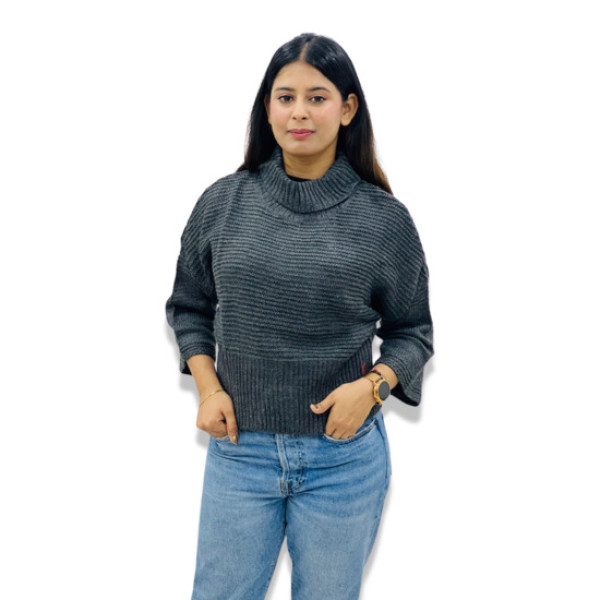 ParkAvenue Women Winter Wear | Isabella Rollneck Sweater | Charcoal | Wool Blend Product Id- PWWX00691-O4